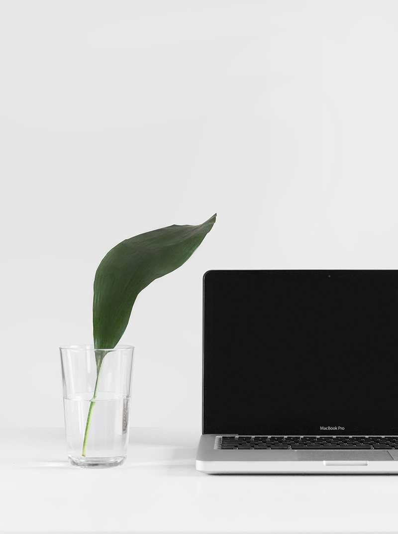 Sitech is Tech’s Latest Unicorn: We Raised $150M in Investment to Find Prove Stocks